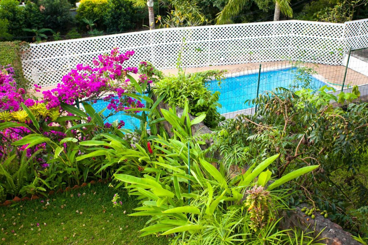 Vue Lagon Et Moorea Taapuna 外观 照片